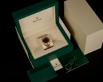 Photoroom_006_20241113_73020 PM